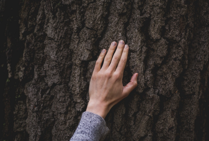 3 WAYS TO START A SUSTAINABLE LIFESTYLE THIS YEAR